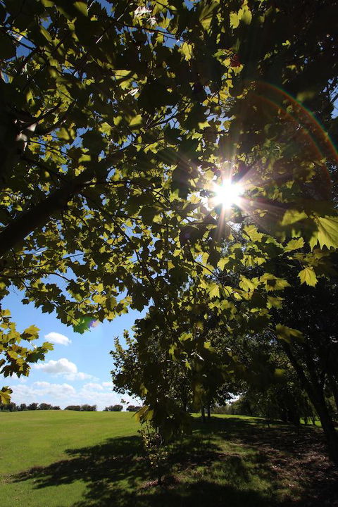 Crowne Plaza Hawkesbury Valley, An IHG Hotel - Accommodation Directory 43