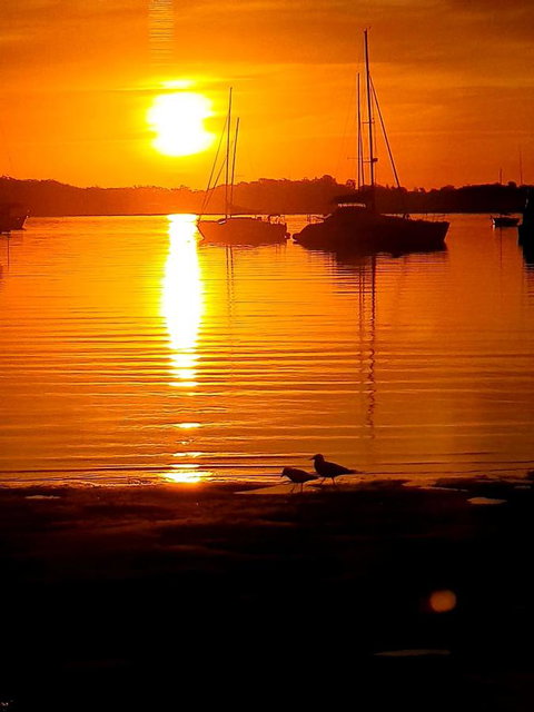 Marina Resort - Accommodation Directory 3