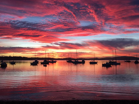 Ambience - Accommodation Directory 0