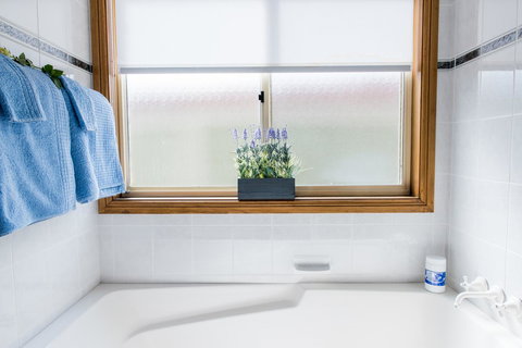 Ambience - Accommodation Directory 22