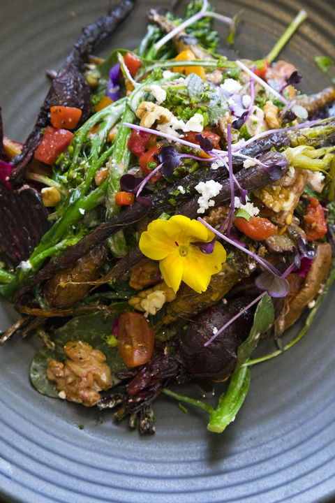 Sage Hotel Wollongong - Accommodation Directory 21