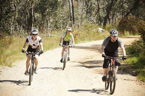 Mercure Albury - Accommodation Directory 18