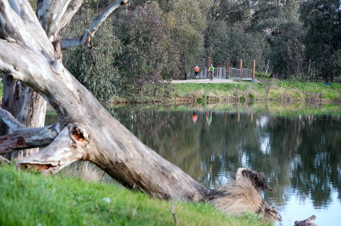 Mercure Albury - Accommodation Directory 15