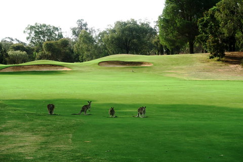 Mulwala Resort - Accommodation Directory 40