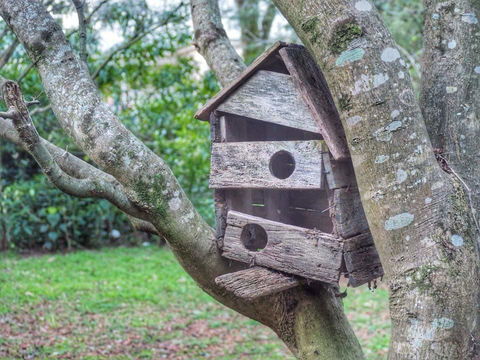 Lark Cottage - Accommodation Directory 3