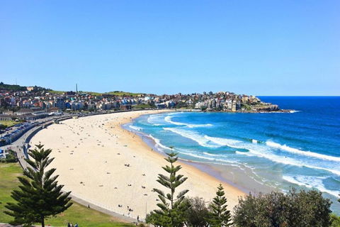 Right On Bondi - Accommodation Directory 13