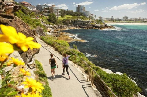 Right On Bondi - Accommodation Directory 11