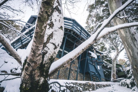 Pure Chalet Thredbo - Accommodation Directory 21