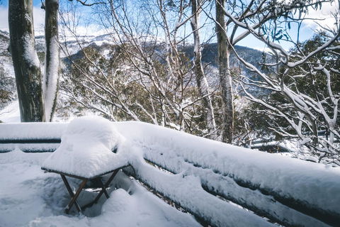 Pure Chalet Thredbo - Accommodation Directory 19