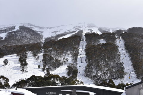 Pure Chalet Thredbo - Accommodation Directory 6