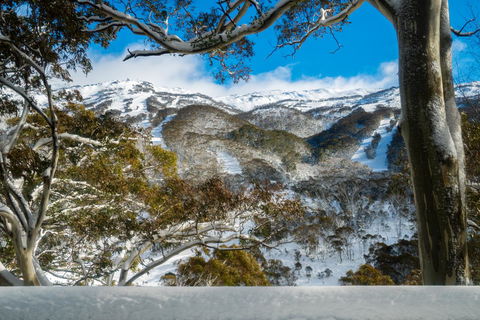 Pure Chalet Thredbo - Accommodation Directory 17