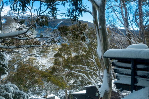 Pure Chalet Thredbo - Accommodation Directory 30
