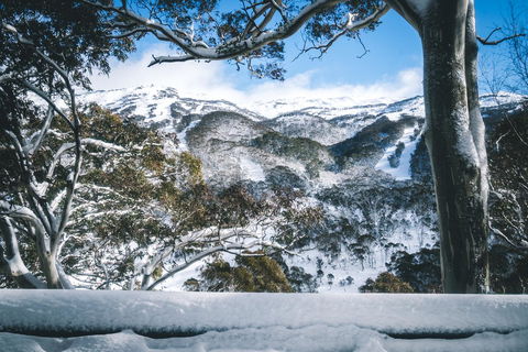 Pure Chalet Thredbo - Accommodation Directory 2