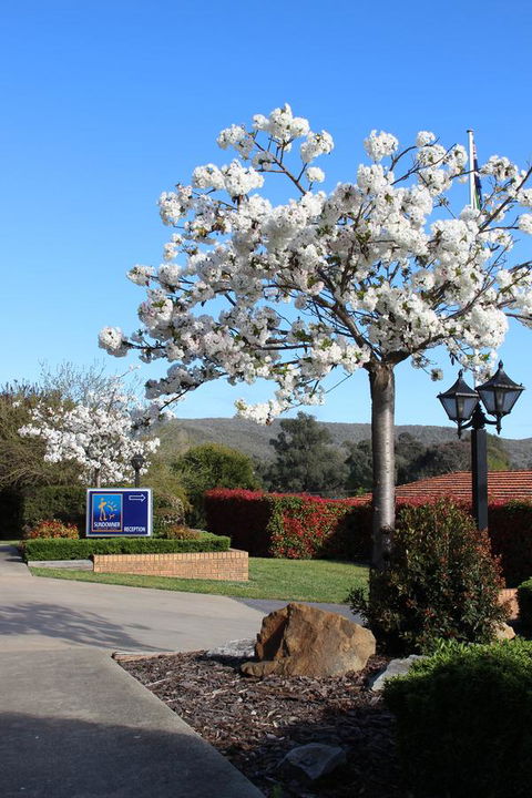 Hume Country Motor Inn - Accommodation Directory 0