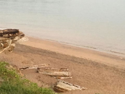 Nightcliff Foreshore Getaway - McKay Gardens - Accommodation Directory 28