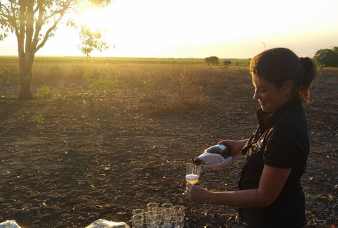 Wildman Wilderness Lodge - Accommodation Directory 22