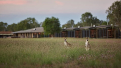 Wildman Wilderness Lodge - Accommodation Directory 0