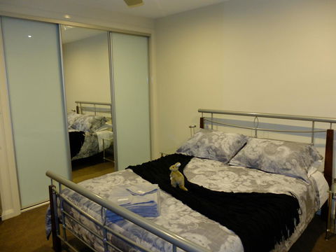 Rock Wallaby - Accommodation Directory 14