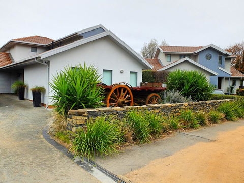 Rock Wallaby - Accommodation Directory 5