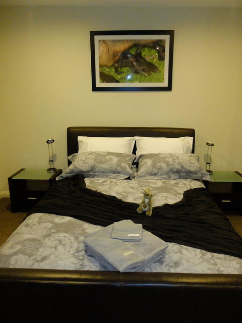 Rock Wallaby - Accommodation Directory 18