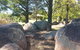 Bonaways - thumb 1