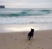 Breakers at Mudjimba Beach - Accommodation Directory