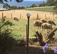 Cape View B and B - Accommodation Directory