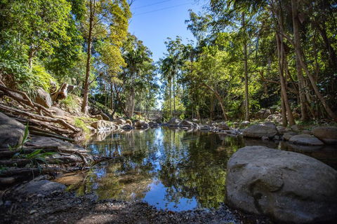 Cedar Creek Lodges - Accommodation Directory 0