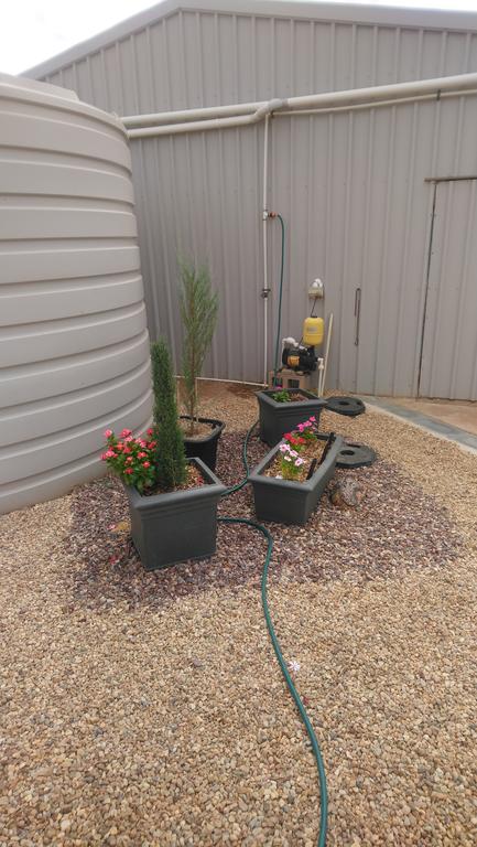 Chrissie's Dongara - Accommodation Directory 2