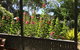 Clarevale Cottage B&B - thumb 1