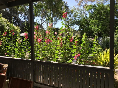 Clarevale Cottage B&B - Accommodation Directory 1