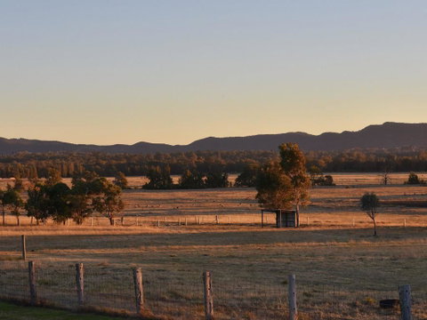 Clydesdale Cottage On Talga With Real Clydesdale Horses - Accommodation Directory 3
