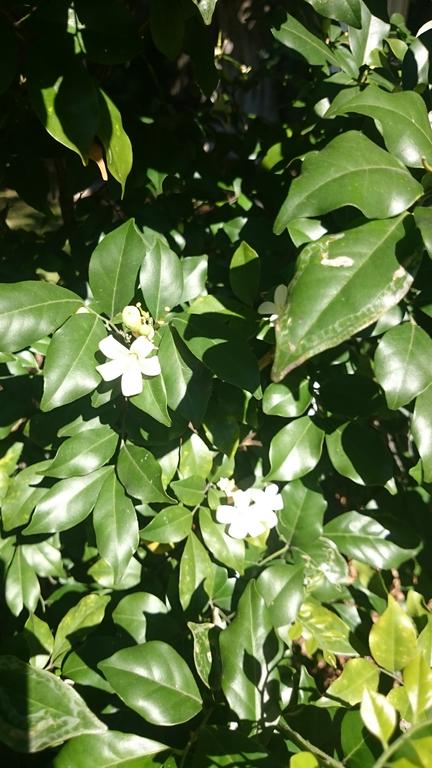 Coomera Motor Inn - Accommodation Directory 2