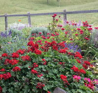 Country Mile Escape - Accommodation Directory