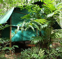 Daintree Crocodylus - Accommodation Directory