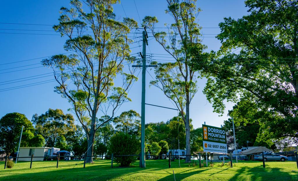 Dorrigo NSW Accommodation Directory