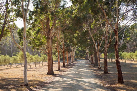 East Wing - Accommodation Directory 2