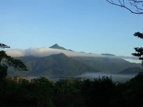 Epiphyte B & B - Accommodation Directory 0