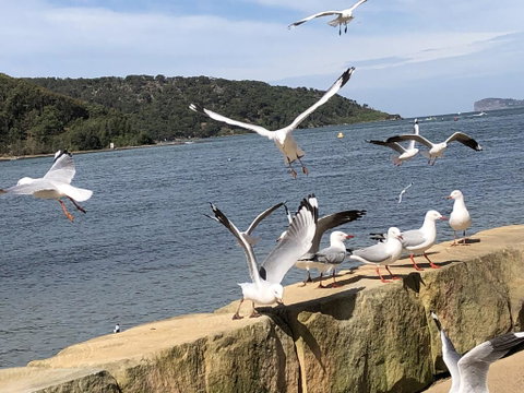 Ettalong Beach Motel - Accommodation Directory 1
