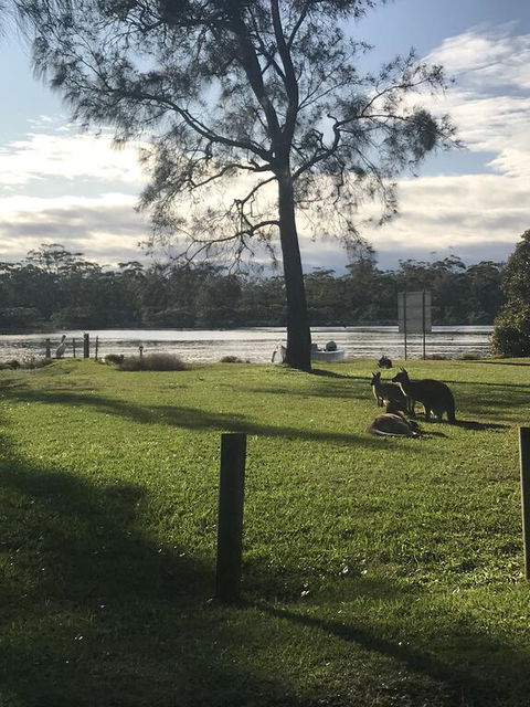 FAIRVIEW 25A - Waterfront Home - Accommodation Directory 3