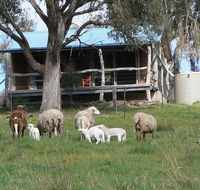 Gaddleen Grove Cottages - Accommodation Directory