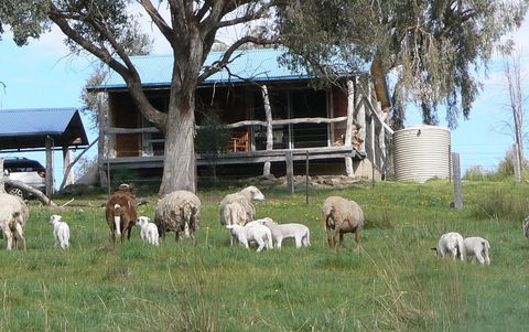 Gaddleen Grove Cottages - Accommodation Directory 0