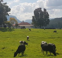 Glenmurray - Country farm stay - Accommodation Directory