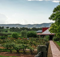 Hanging Tree Wines - Accommodation Directory
