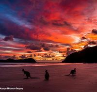 Heather's Mica Cottage - Accommodation Directory