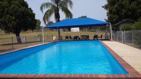Jacaranda Motor Lodge - Accommodation Directory 0
