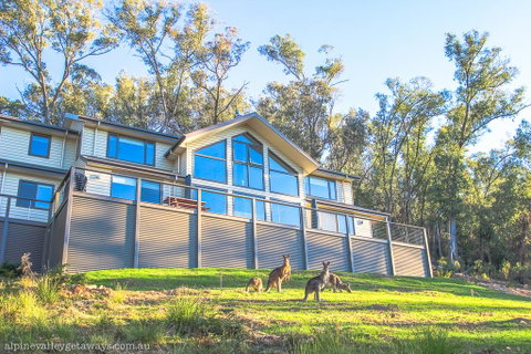 Kangaroo Lodge - Accommodation Directory 1
