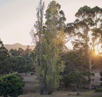 Karribank and the Karri On Bar - Accommodation Directory