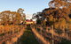 Lillicur Vineyard B&B - thumb 0
