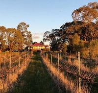 Lillicur Vineyard BB - Accommodation Directory